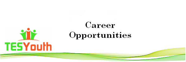Career Opportunities, Cyber Security Audit